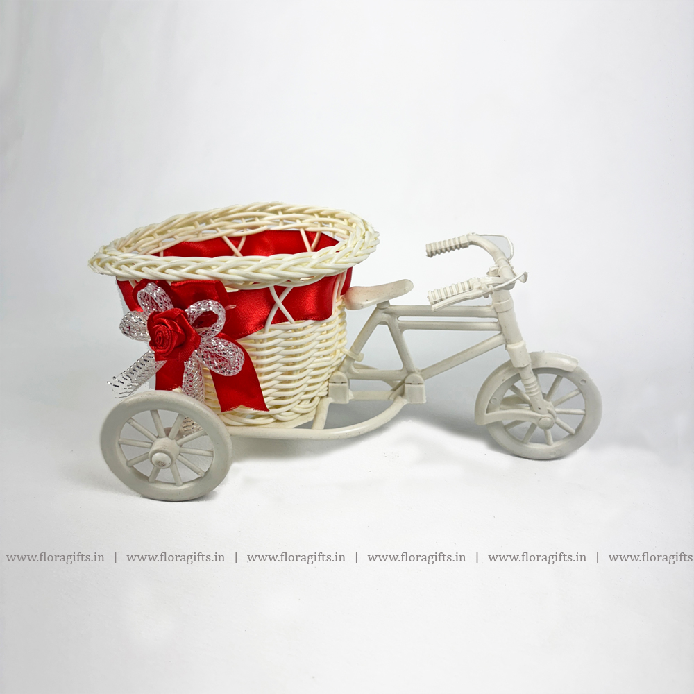 Tricycle with basket