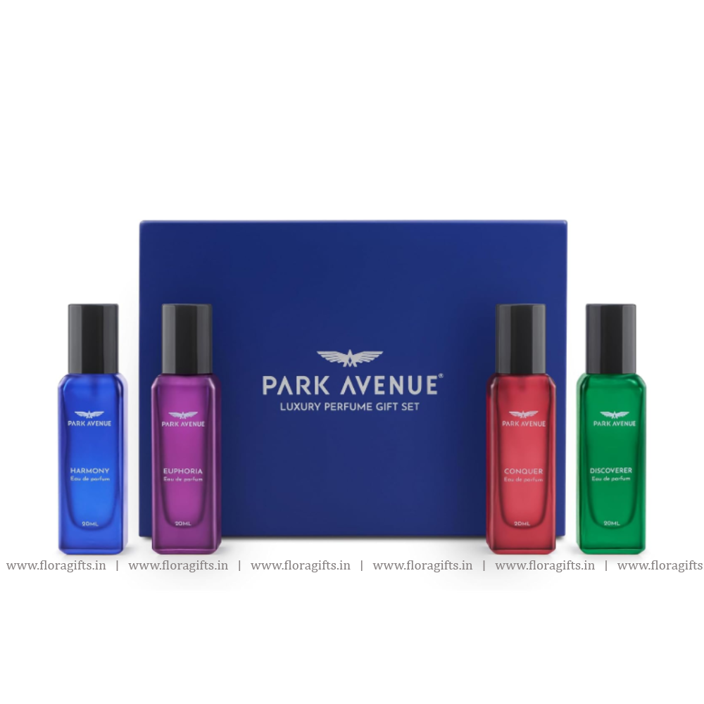 Park Avenue Luxury Perfume Gift Set for Men