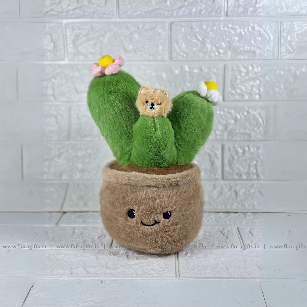 Cactus Toy