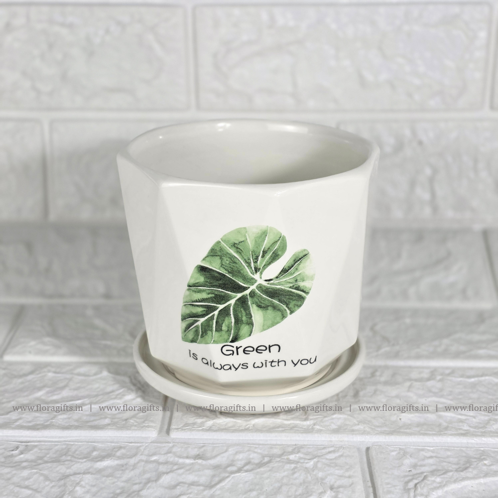 Green Planter Big