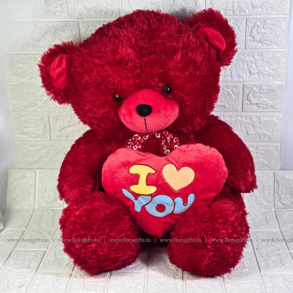 I LOVE YOU TEDDY BIG